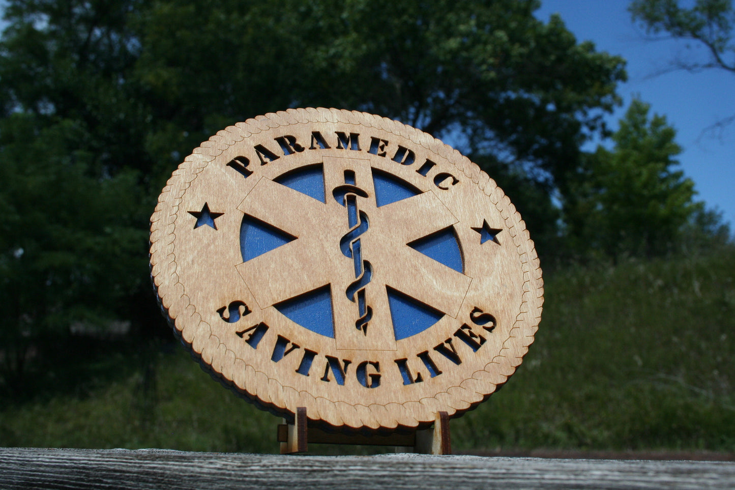 Paramedics Saving Lives Plaque, Paramedic First Responder, Paramedic Sign, Paramedic Gift, Paramedic Home Decor, Paramedic Wall Art