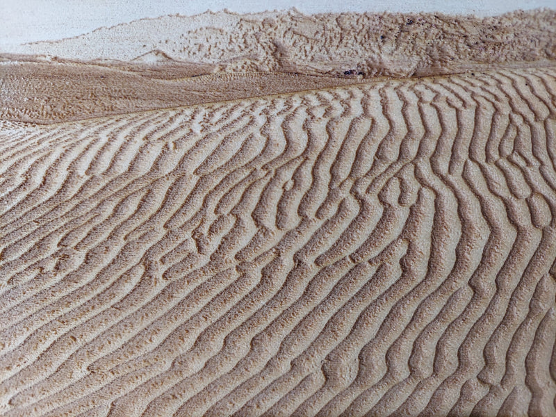 Death Valley Mesquite Sand Dunes Laser on Wood with Stand