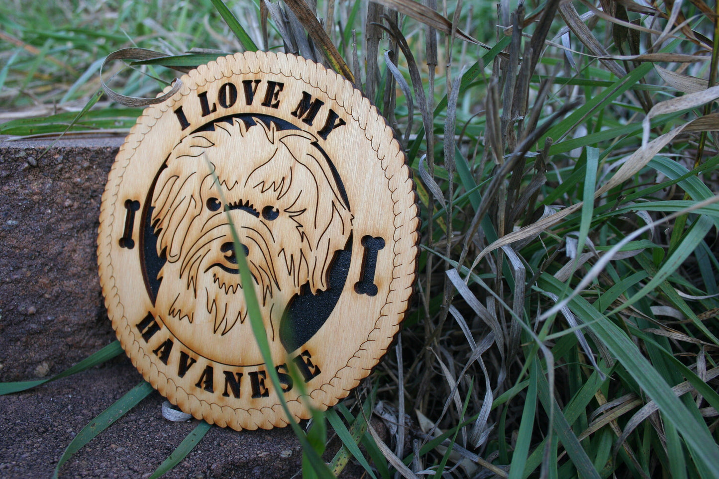 I Love My Havanese, Love My Havanese, Havanese Gift, Havanese Home Decor, Havanese Unique Gift, Blanquito, Havanese Tribute Plaque