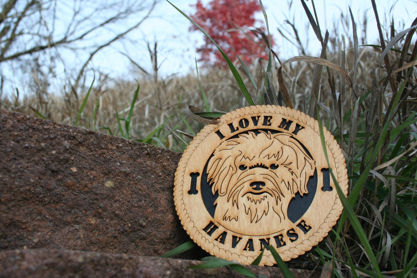 I Love My Havanese, Love My Havanese, Havanese Gift, Havanese Home Decor, Havanese Unique Gift, Blanquito, Havanese Tribute Plaque