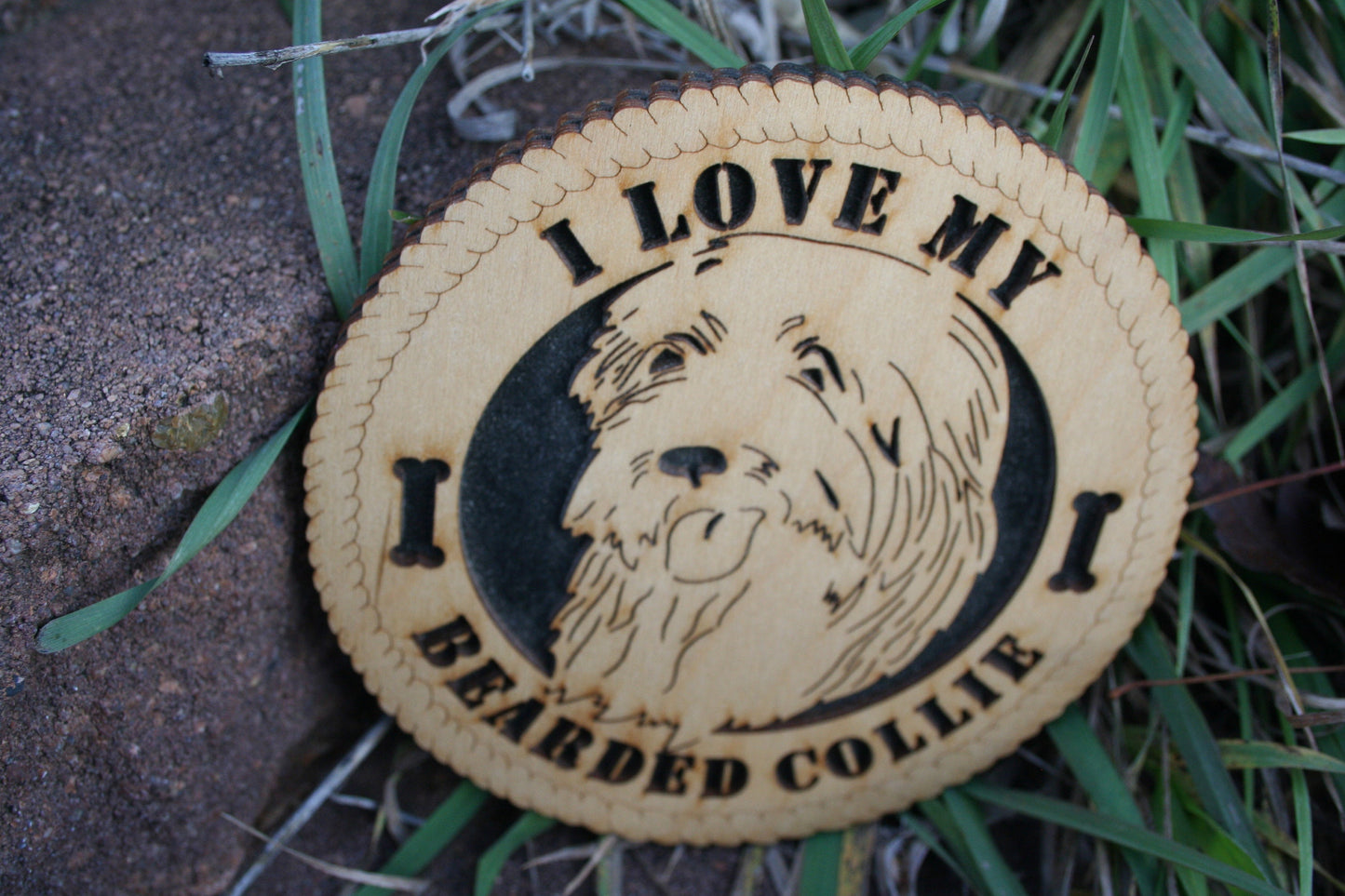 I Love My Bearded Collie, Beardie, Bearded Collie Gift, Bearded Collie Tribute, Bearded Collie Unique Gift, Bearded Collie Plaque, Beardies